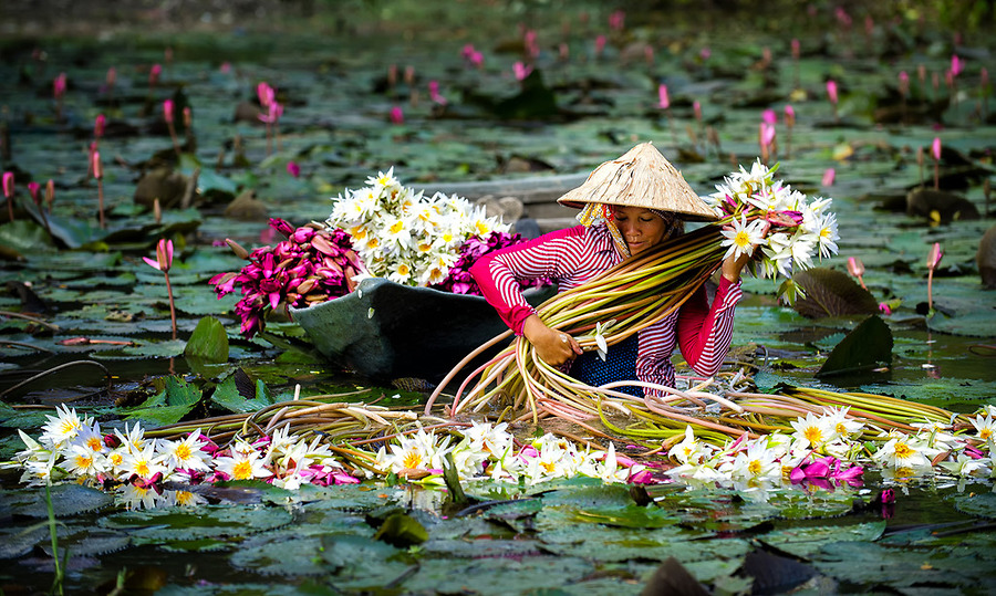 Cảnh quan lịch sử Nam Bộ